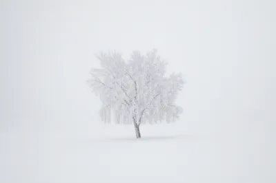 Illustration stark - Image 1