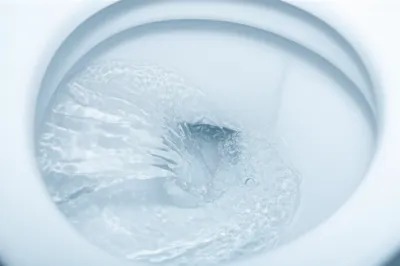 Illustration flush - Image 1