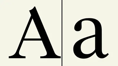 Illustration bicameral - Image 1