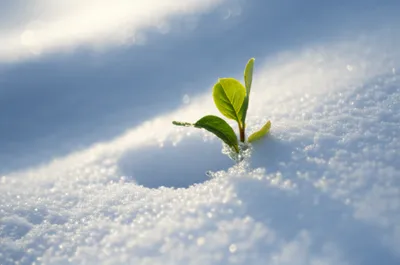 Illustration blankets - Image 1