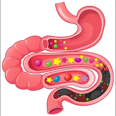 Illustration digested - Image 1