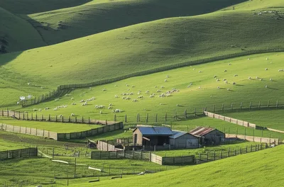 Illustration runners - Image 1