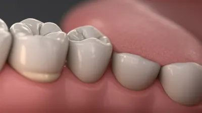 Illustration lingual - Image 1