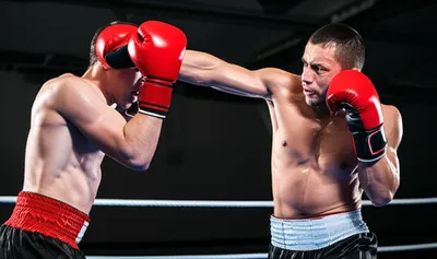 Illustration boxing - Image 1