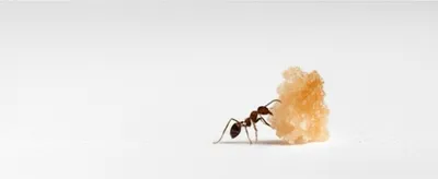 Illustration minion - Image 1