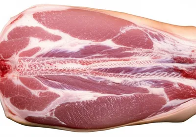 Illustration hams - Image 1