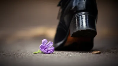 Illustration trample - Image 1