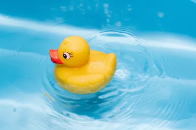 Illustration float - Image 1