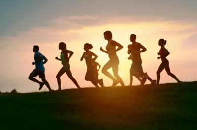 Illustration harriers - Image 1