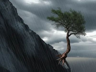 Illustration stayed - Image 1