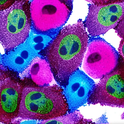 Illustration stained - Image 1