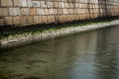 Illustration watermarks - Image 1