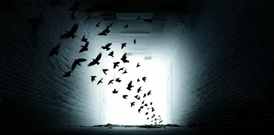 Illustration out - Image 1