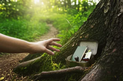 Hình ảnh minh họa letterbox - Ảnh 1