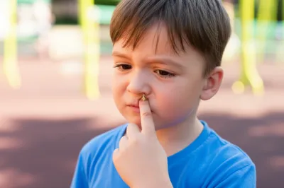 Illustration bogey - Image 1