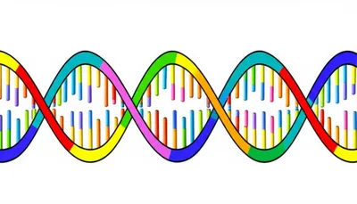 Illustration frame - Image 1