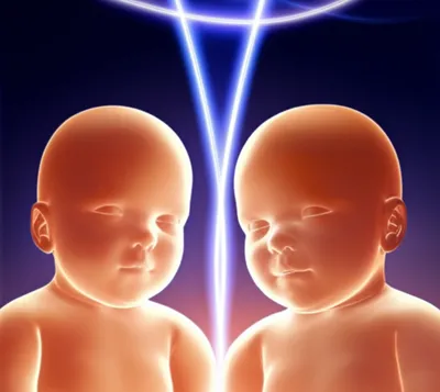 Illustration twines - Image 1