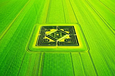 Illustration belies - Image 1