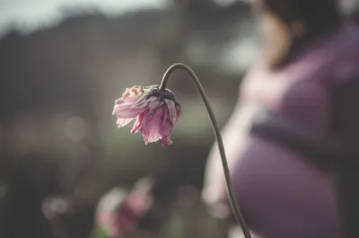 Illustration miscarried - Image 1