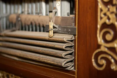 Illustration telltales - Image 1