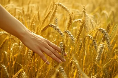 Illustration struck - Image 1