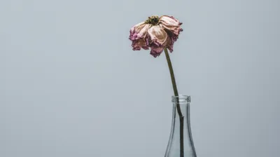 Illustration tolerable - Image 1