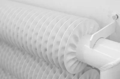 Illustration finned - Image 2