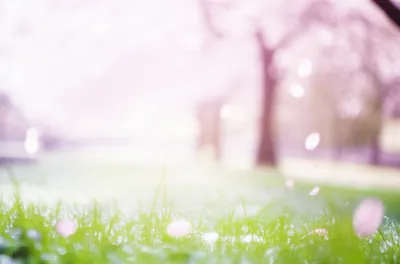 Illustration gentlest - Image 2