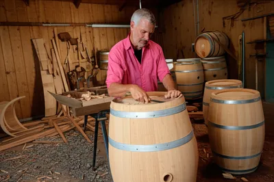 Illustration coopers - Image 1