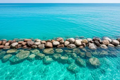 Illustration reef - Image 1