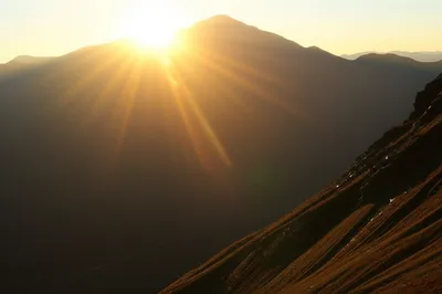 Illustration faced - Image 1