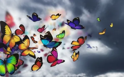 Illustration flutters - Image 1