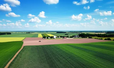 Illustration farmlands