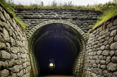 Illustration back - Image 1