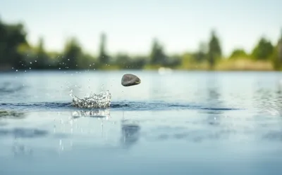 Illustration skim - Image 1