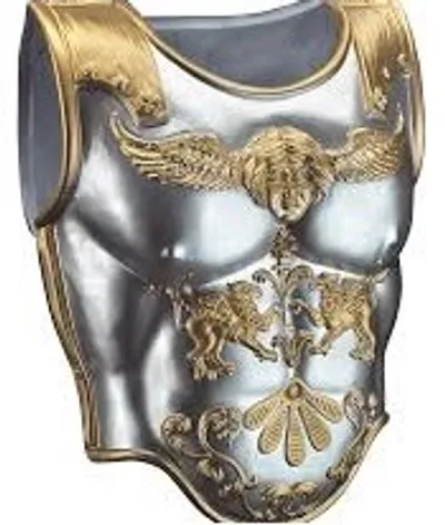 Illustration armor - Image 2