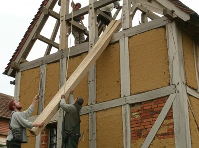 Illustration timbered - Image 1