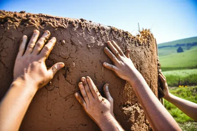 Illustration cobs - Image 1