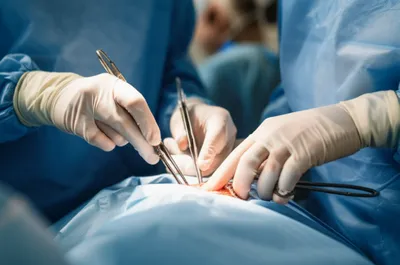 Illustration freehand - Image 1