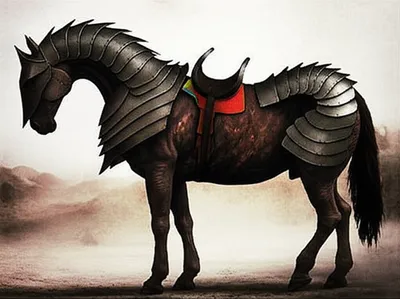 Illustration barb - Image 1