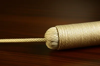 Illustration resume - Image 1