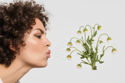 Illustration puffed - Image 1