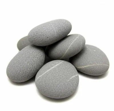 Illustration common - Image 1