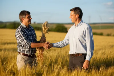 Illustration sharecrops