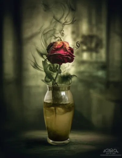 Illustration reeked - Image 1