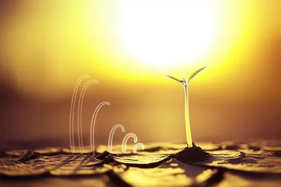 Illustration progresses - Image 1