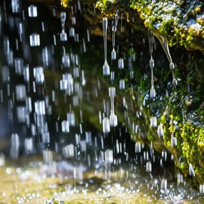 Illustration trickled - Image 1