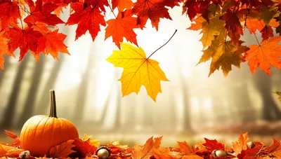 Illustration autumnal - Image 1