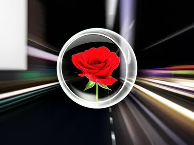 Illustration stasis - Image 1