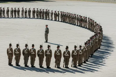 Illustration pivot - Image 1